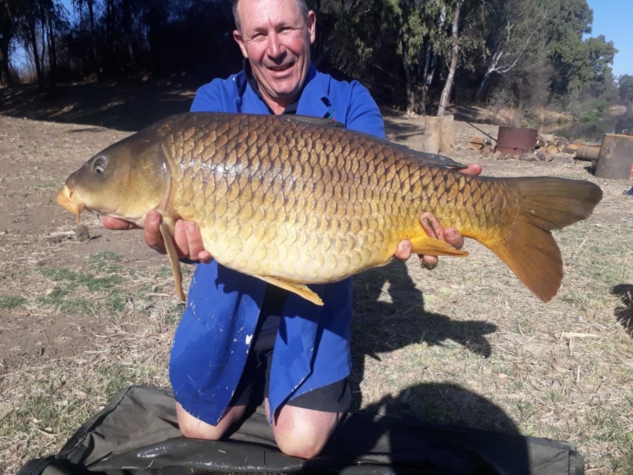 Commercial Property for Sale in Orkney Rural North West